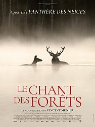 Affiche LE CHANT DES FORÊTS