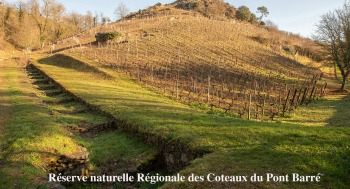 RÉSERVE NATURELLE RÉGIONALE DES COTEAUX DU PONT BARRÉ - Ciné doc - 2025-11-08