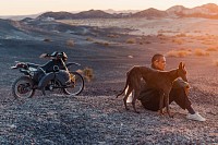 Photo du film BLACK DOG de Hu Guan