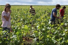 Photo du film CE QUI NOUS LIE de Cédric Klapisch 